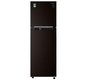 Tủ lạnh Inverter 236 lít Samsung RT22M4032BY/SV - Hàng chính hãng