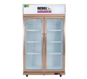 Tủ mát trưng bày 2 cánh kính Oucboll LG-800CF - Hàng chính hãng