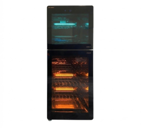Tủ sấy tiệt trùng bát đĩa Ranox RN280 - Hàng chính hãng