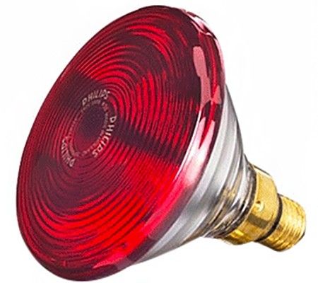 Bóng đèn hồng ngoại Philips 150W - Hàng chính hãng