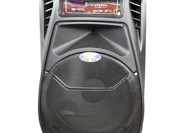 Loa karaoke di động Ronamax A15 - Hàng chính hãng