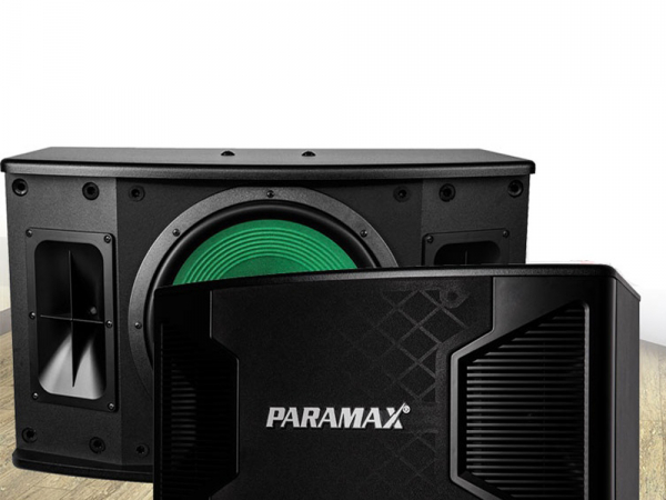 Loa karaoke Paramax P-2500 - Hàng chính hãng