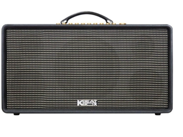 Loa karaoke xách tay Acnos FLAC 36 - Hàng chính hãng