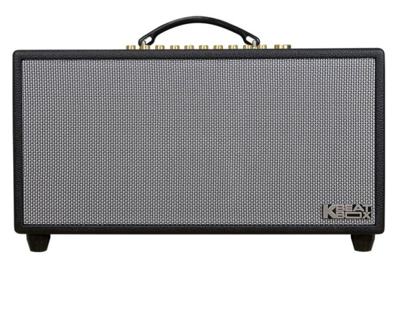 Loa karaoke xách tay Acnos HI450 - Hàng chính hãng