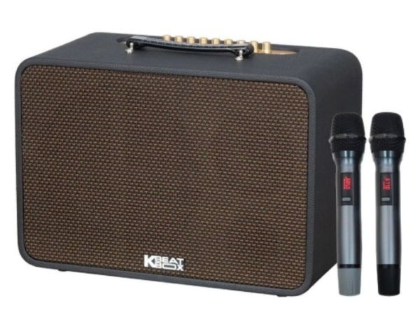 Loa xách tay Acnos CS250PRO - Hàng chính hãng